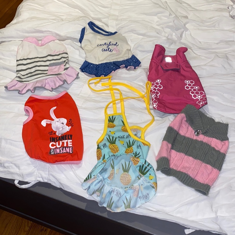 Dog clothes